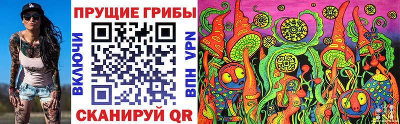 Псилоцибиновые грибы прущие грибы  Шлиссельбург 